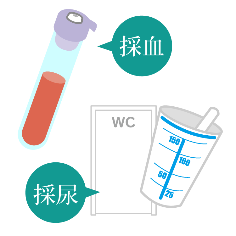 採血・採尿イメージイラスト